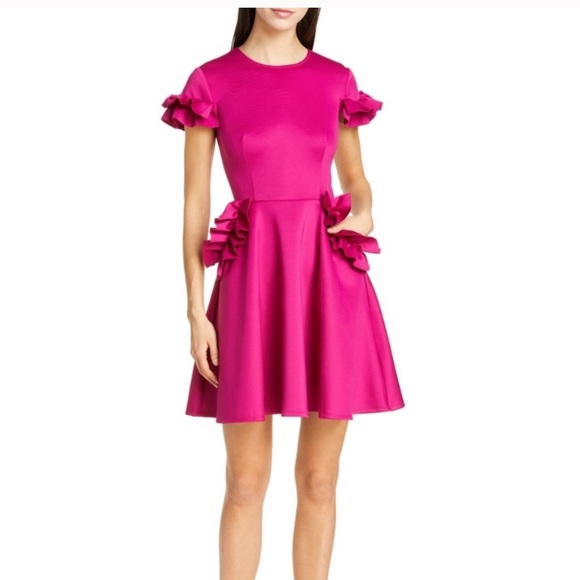 Ted Baker Ruffle Dress - Picture 4 of 6